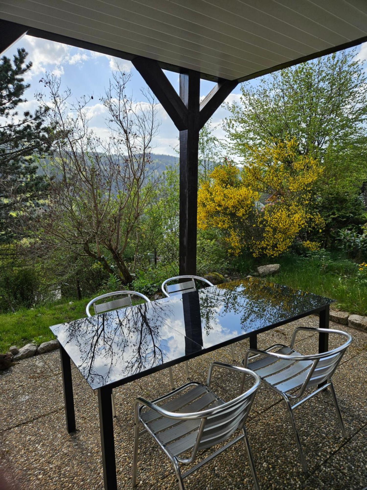 Grosse Ferienwohnung In Ruhiger Lage Mit Toller Aussicht In Triberg Triberg im Schwarzwald Exterior photo